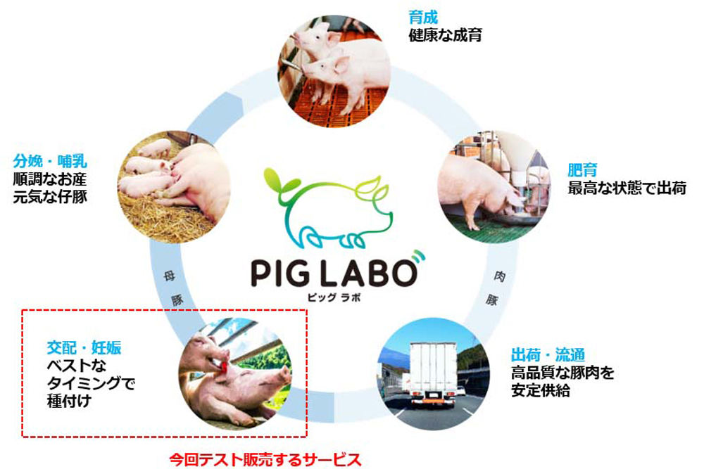 PIG LABOの全体概要