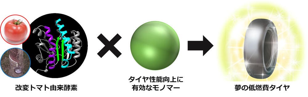 改編トマト由来酵素とタイヤ性能向上に有効なモノマーを組み合わせ、新しいバイオポリマーを開発した住友ゴム