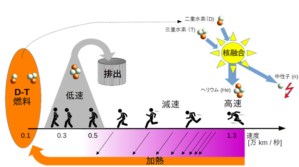 核融合炉において核融合反応で生成された高速ヘリウムの生涯過程