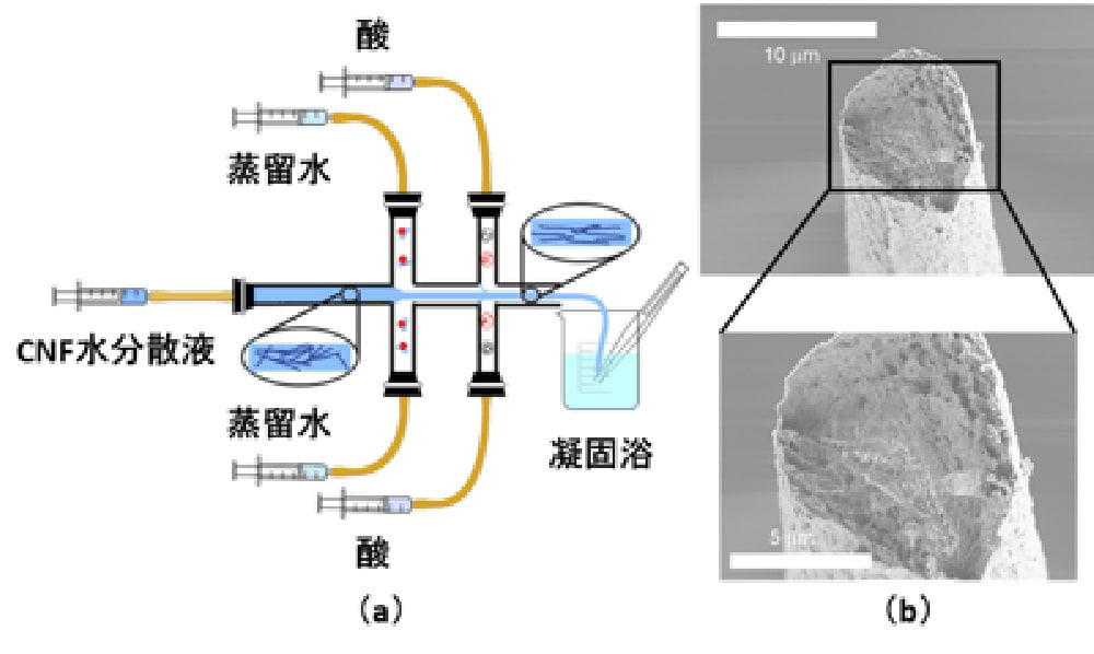 CNF糸の製造方法とCNF糸の断面拡大図