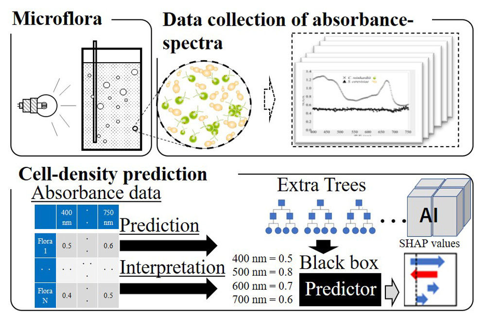 AI技術を用いた微生物混液の吸光スペクトル解析による細胞密度の予測方法のコンセプト
