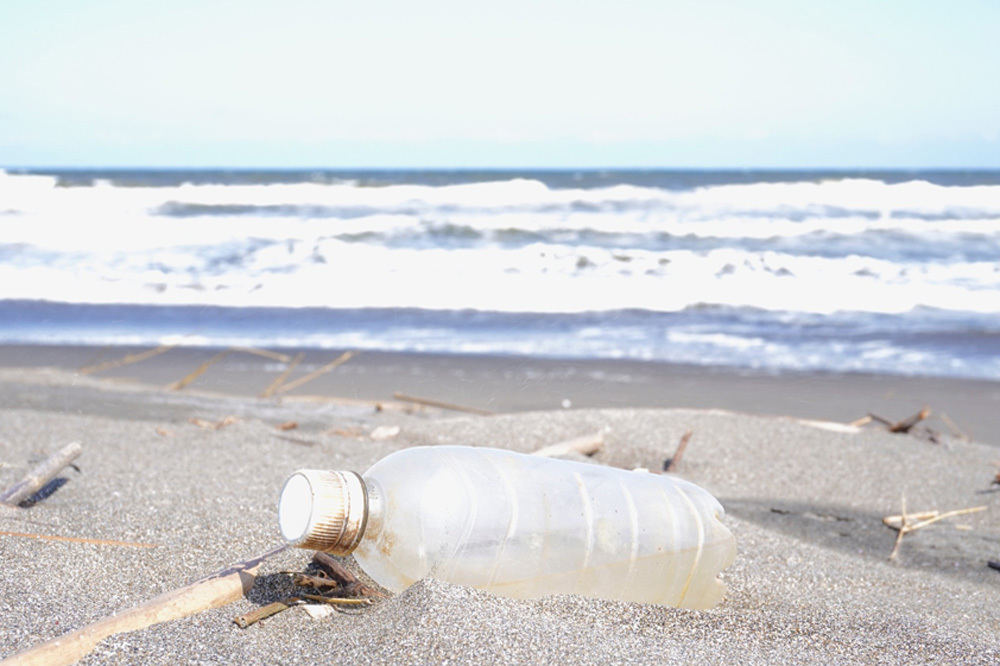 海や森などの自然界を脅かすプラスチックのゴミ問題は、地球規模での深刻な課題となっている