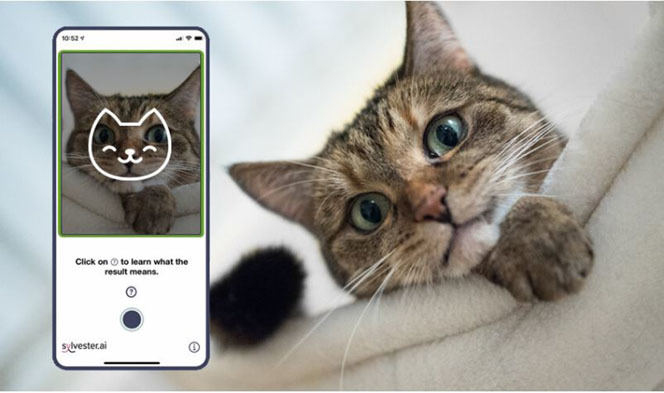猫の様子
