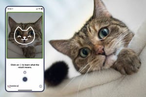 近未来テクノロジー見聞録 第26回 猫の気持ちがわかるアプリ、Tablyとは？