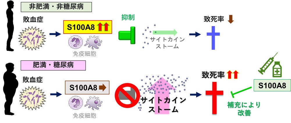 別倉庫からの配送】 改題増補 九種伝染病予防 軌範 全 科学 - dev-www