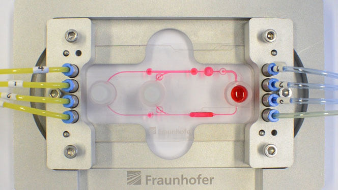 Fraunhofer IWSのMulti Organ chip