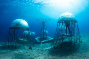近未来テクノロジー見聞録 第284回 イタリアで進む海底農業プロジェクト「Nemo's Garden」とは？