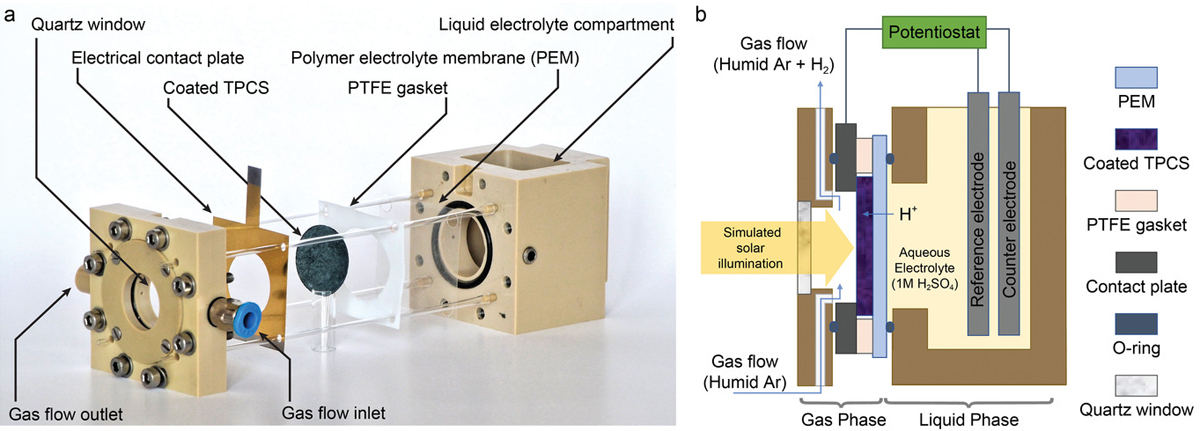 光電気化学デバイスの機構説明と模式図