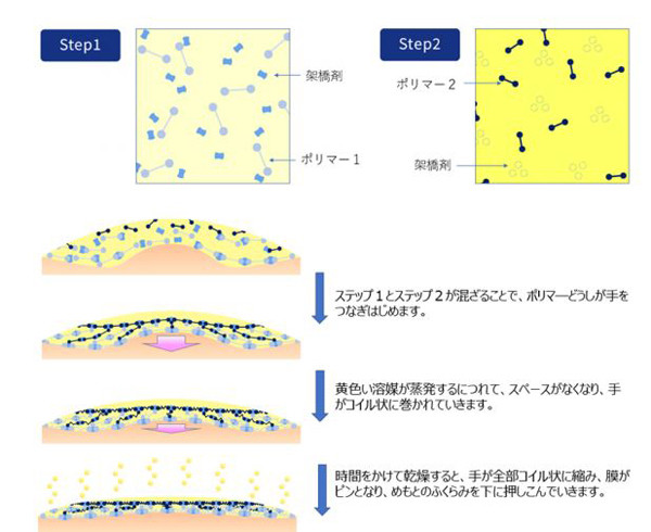 形成メカニズム