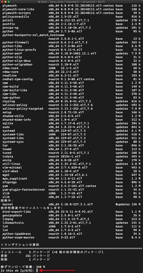 y↩️で実際にパッケージアップデートを開始