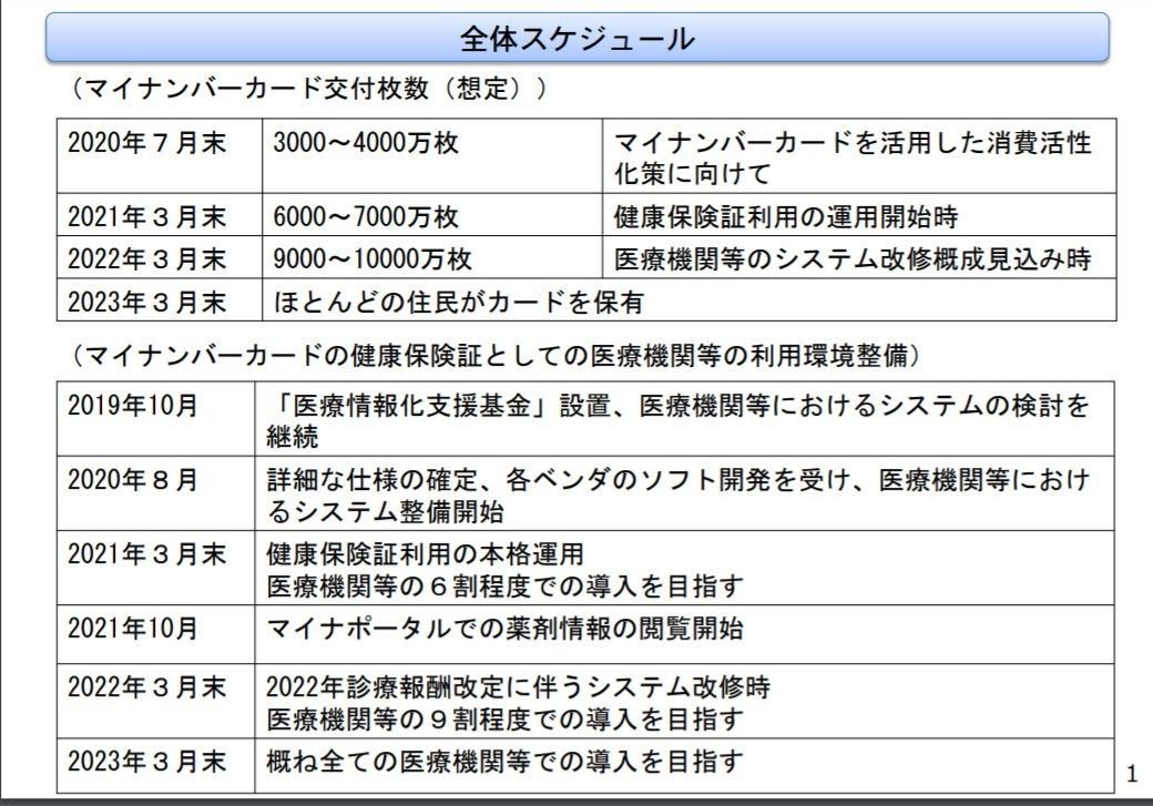 全体スケジュール