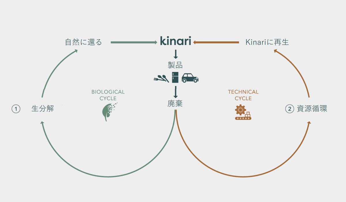 kinariによる2つの循環のイメージ図