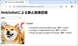 ゼロからはじめるTensorFlow.js 第4回 TensorFlow.jsとMobileNetで静止画像を認識する
