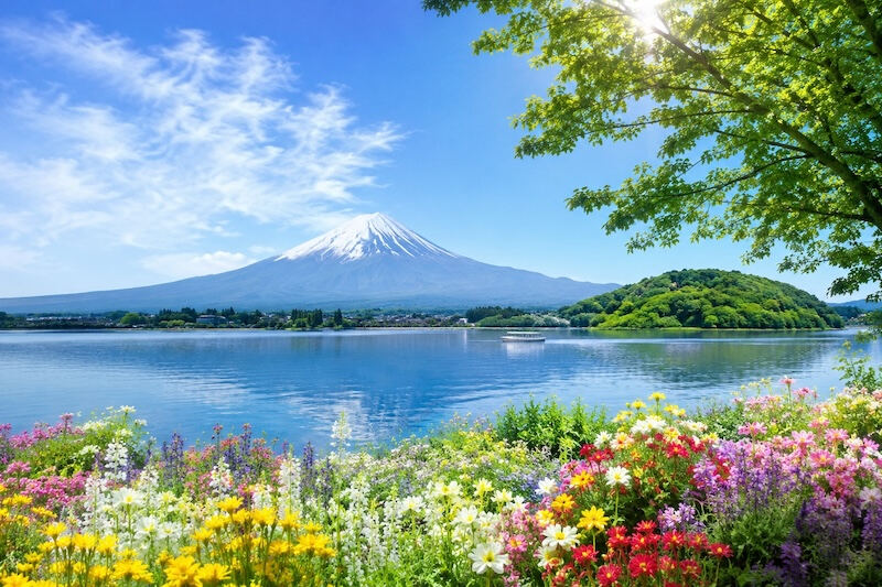 テスト用の画像「test.jpg」