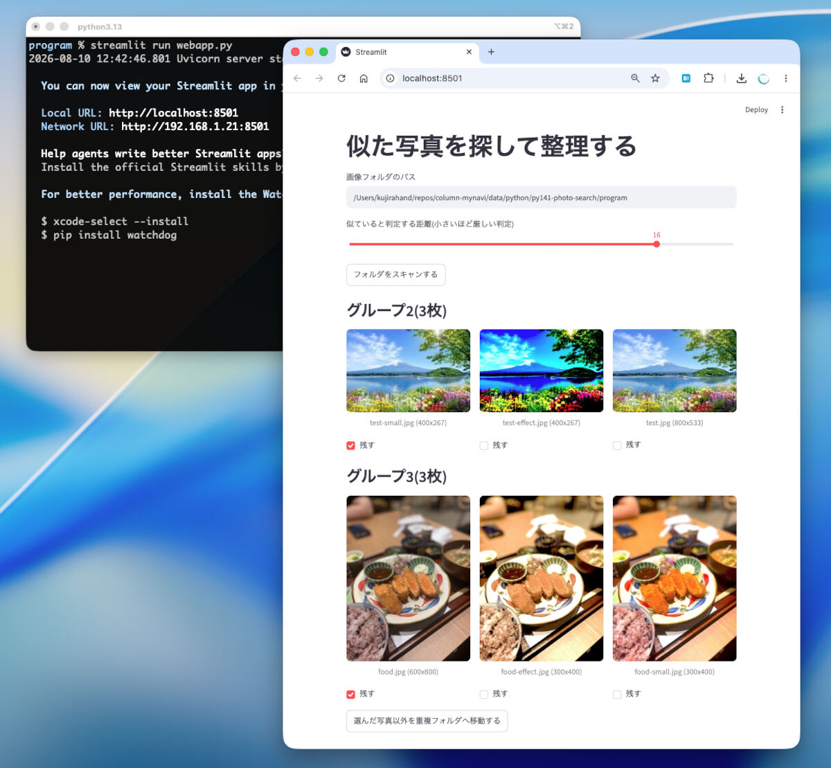 類似画像を整理するアプリを実行したところ