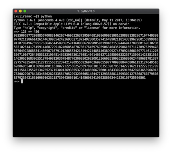 対話実行環境で123の456乗を計算したところ