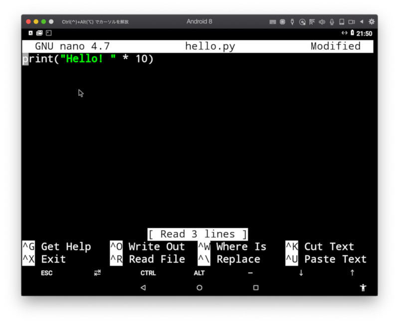 nanoでPythonのプログラムを書いたところ