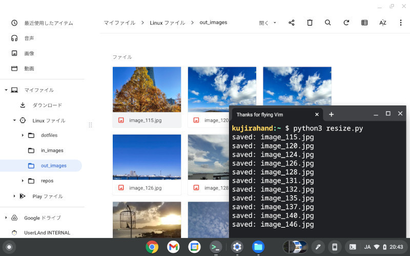2025最新のスタイル ゼロからはじめるPython(88) ChromebookとPythonで100枚の画像を その他