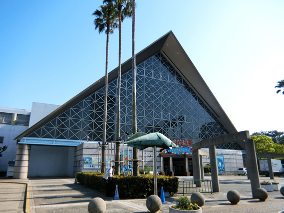 須磨海浜水族園2