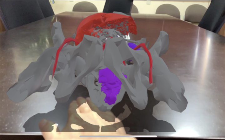 VR画像1