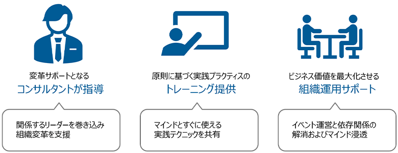 図9：大規模アジャイル導入コンサルのサポート内容