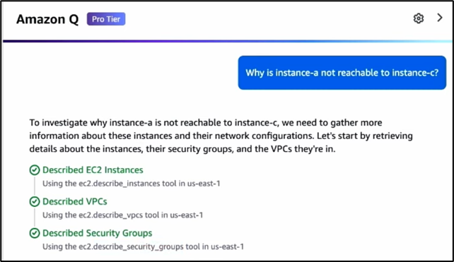 Amazon Q Developerが自動的にEC2インスタンスおよびその周辺情報を収集している