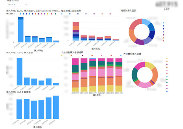 ビジュアル化した基礎集計データ(Power BI report )