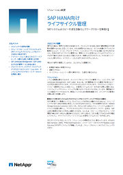 PDFのダウンロードはこちら
