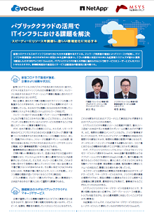 「パブリッククラウドの活用で ITインフラにおける課題を解決」