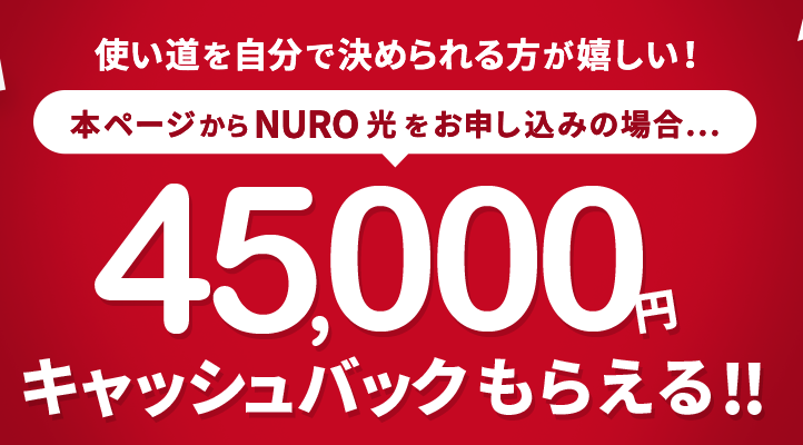 NURO光 公式特設サイト