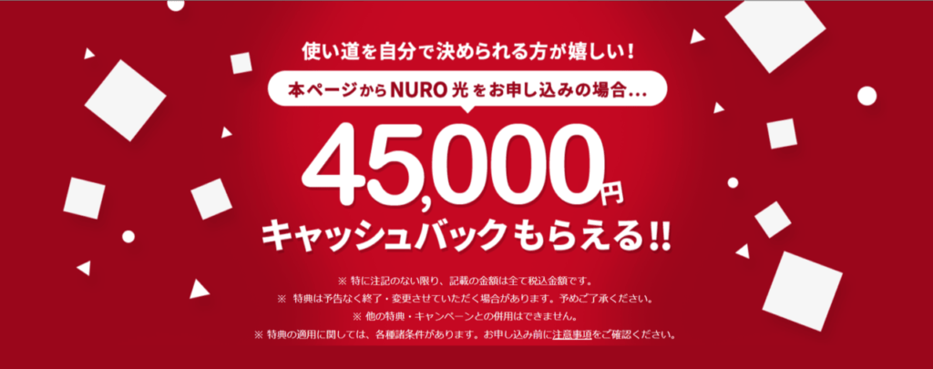 NURO光 公式特設サイト