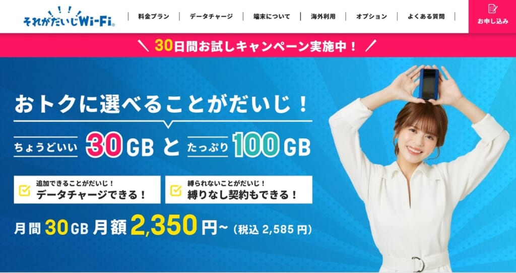 それがだいじWiFi