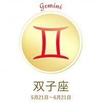 03_gemini