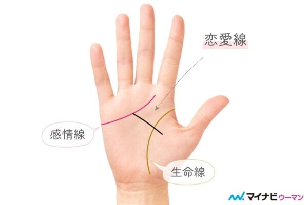 手相における恋愛線とは