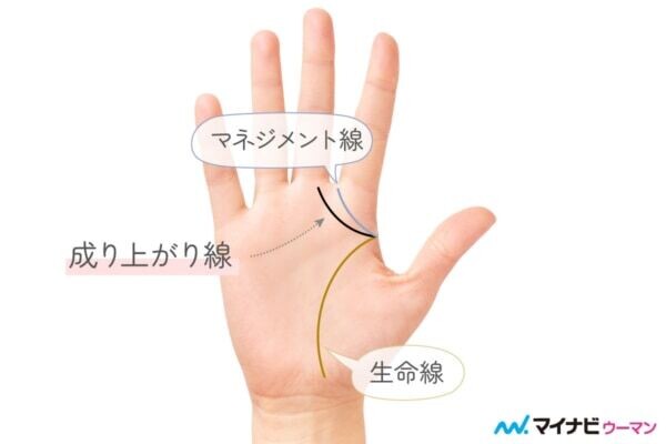成り上がり線と間違えやすい手相：マネジメント線