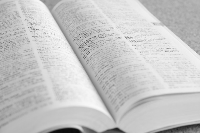 プチプラの類語・反対語