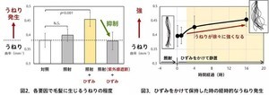 日焼けの大敵、紫外線 － 実は髪のうねりにも影響していた!