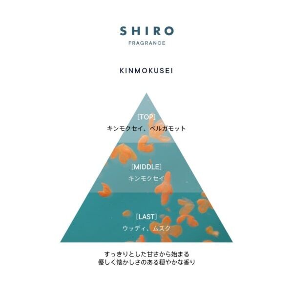 選ぶなら ビューティーニュース(114) SHIRO人気の限定フレグランス アロマ・キャンドル