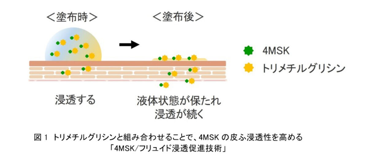 「4MSK/フリュイド浸透促進技術」