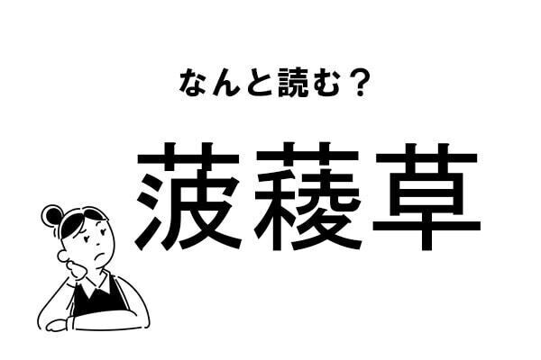 Index