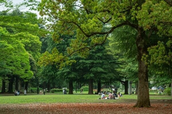 代々木公園