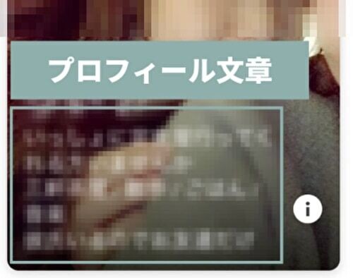 Tinder バイオ