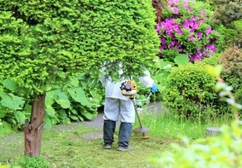 庭師はどんなことをする？