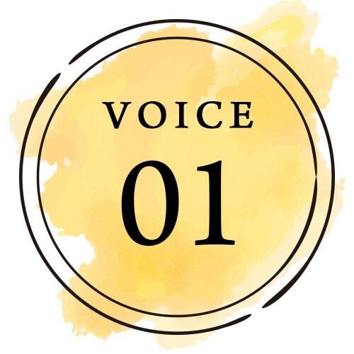 VOICE 01
