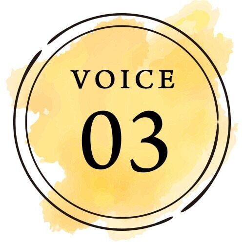 VOICE 03