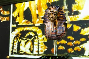 古代エジプトを体感し、ファラオの青春に迫る「体感型古代エジプト展 ツタンカーメンの青春」